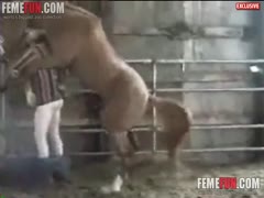 Kinky horse porn is a nasty delight that gay men appreciate.